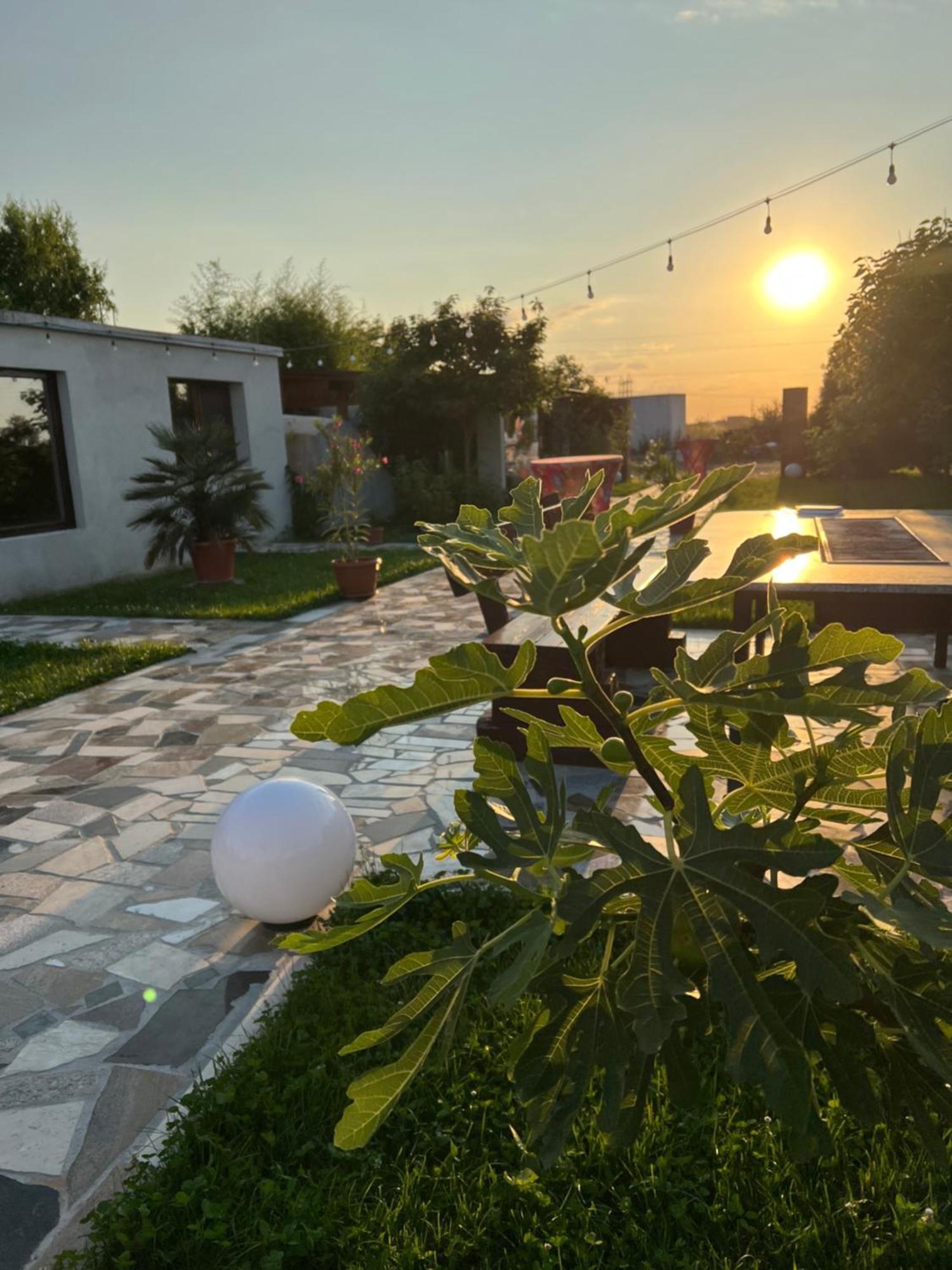 La Casa Blanca Apartment Vladimirescu Bagian luar foto