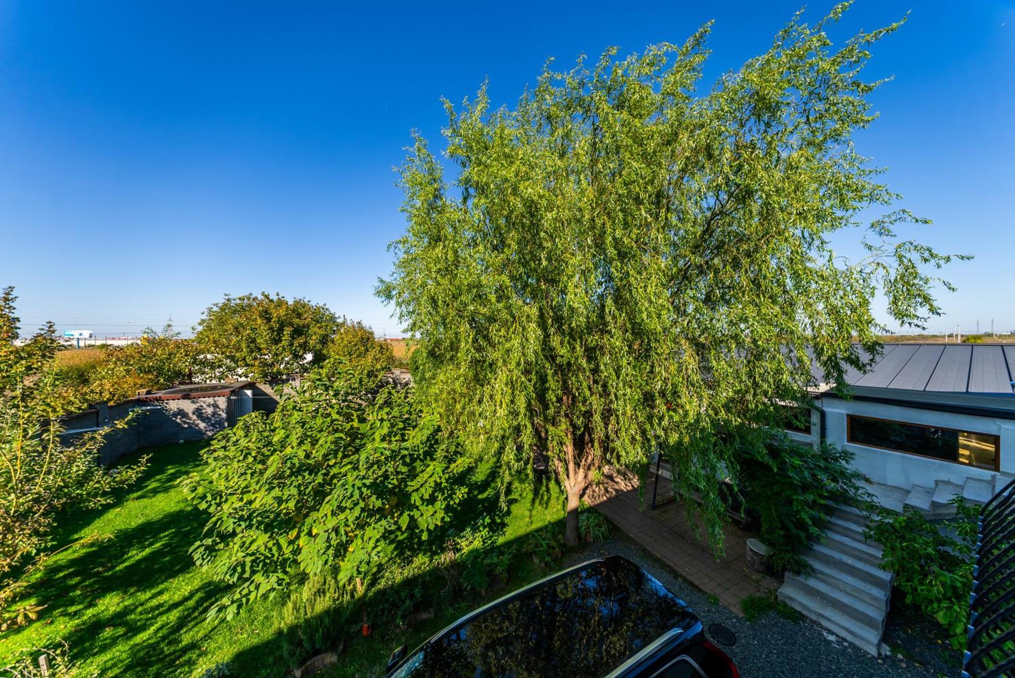 La Casa Blanca Apartment Vladimirescu Bagian luar foto